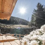 Weidenchalets Sellrain