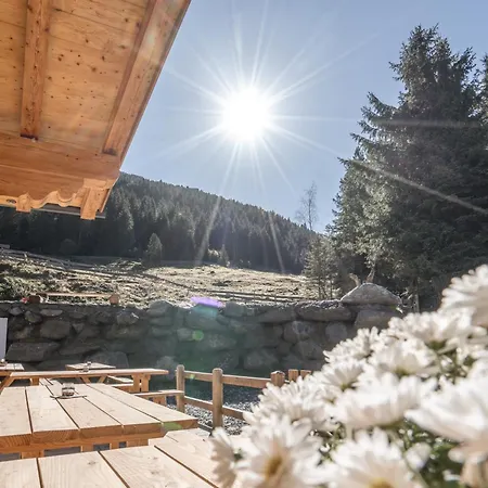 Weidenchalets Sellrain