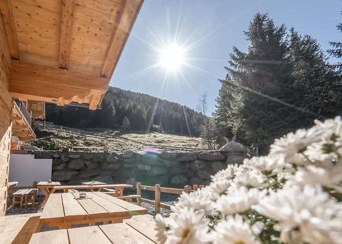 Weidenchalets Sellrain